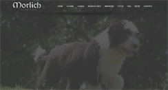 Desktop Screenshot of beardedcollie.com.br